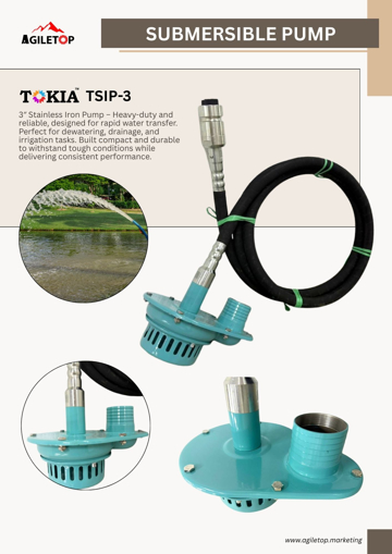 Picture of Submersible Pump – TSIP-3